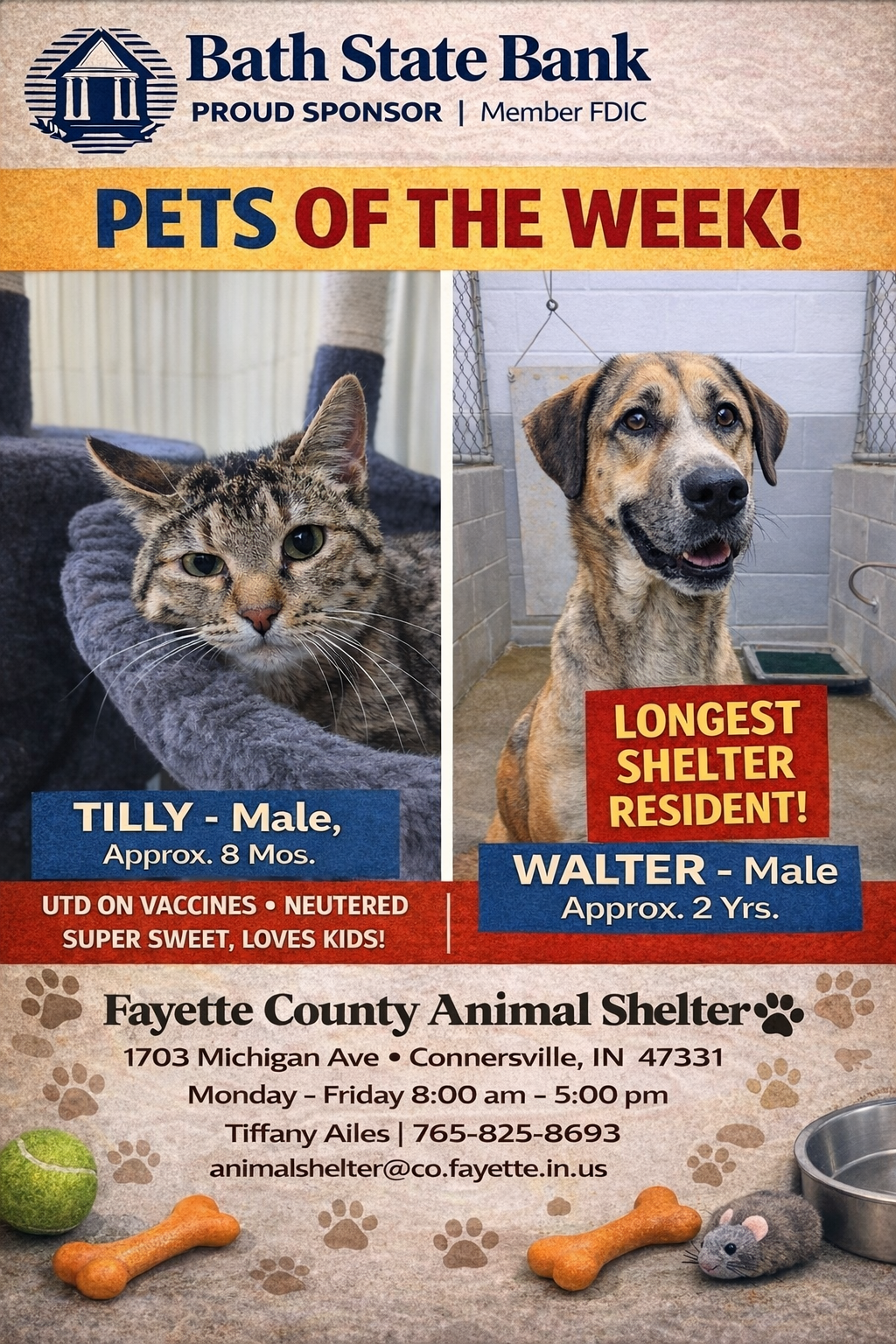 Tilly, a young male tabby cat, and Walter, a 2-year-old male mixed-breed dog who is the shelter’s longest resident, featured as Pets of the Week from Fayette County Animal Shelter.